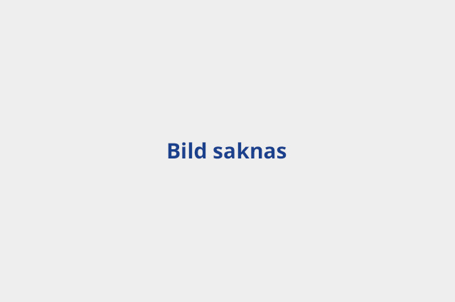 alt text här